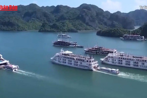 [Video] Lắp đặt thiết bị thông tin liên lạc AIS trên tất cả tàu du lịch tại Vịnh Hạ Long 