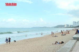 [Video] Từ ngày 25/8 sẽ thu phí tham quan vịnh Nha Trang 