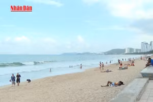 [Video] Từ ngày 25/8 sẽ thu phí tham quan vịnh Nha Trang 