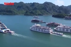 [Video] Lắp đặt thiết bị thông tin liên lạc AIS trên tất cả tàu du lịch tại Vịnh Hạ Long 