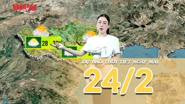 [Video] Dự báo thời tiết đêm nay và ngày mai 24/2/2026: Miền Bắc mưa phùn sương mù, Nam Bộ đón mưa trái mùa