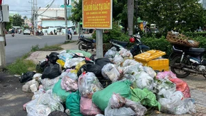 Rác tràn ra lề đường tại xã Ba Tri (tỉnh Vĩnh Long) do không được thu gom, vận chuyển về bãi rác. (Ảnh: HOÀNG TRUNG)