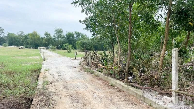 Tuyến mương thoát nước ở tổ đoàn kết số 6, khối phố Phú Đông, phường Quảng Phú, thành phố Đà Nẵng đã bị san lấp để xây dựng thành tuyến đường đá cấp phối kiên cố.