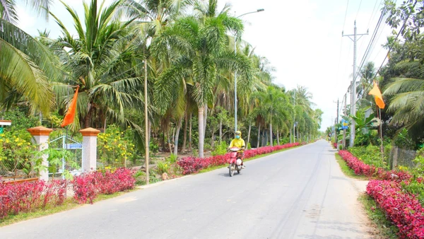 Tuyến đường giao thông của xã Trung Hiệp được trồng hoa, cây cảnh cảnh tạo cảnh quan sáng- xanh- sạch- đẹp cho vùng quê nông thôn. (Ảnh: TUYẾT NGA)