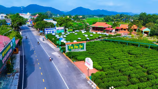 Vườn chè kết hợp du lịch nông nghiệp của Hợp tác xã Chè Hảo Đạt, xã Tân Cương.