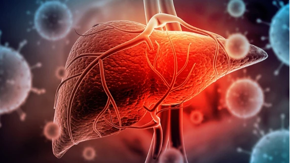 Không có dấu hiệu bất thường nhưng người dân nên cảnh giác men gan tăng cao. (Ảnh: Internet)