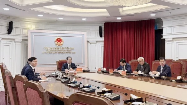 Lãnh đạo Tòa án nhân dân tối cao họp trực tuyến tham vấn ý kiến chuyên gia nước ngoài về xây dựng Tòa án chuyên biệt