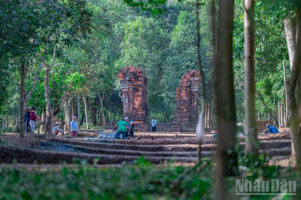 Toàn cảnh khu vực "con đường thiêng" vừa phát lộ tại Thánh địa Mỹ Sơn.