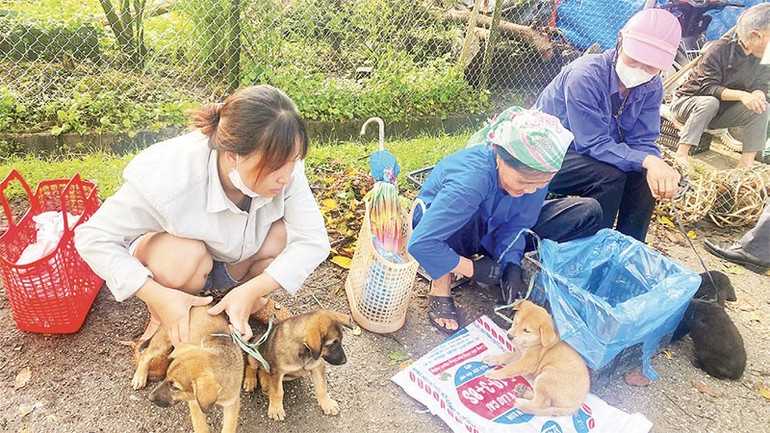 Chợ Tả Phời-Hợp Thành nổi tiếng là nơi cung cấp các con giống như ngan, gà, vịt, lợn và chó bản địa… tapnapphiencho2.jpg