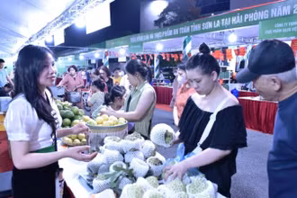 Các gian hàng nông sản Sơn La thu hút sự quan tâm của người tiêu dùng thành phố Hải Phòng.