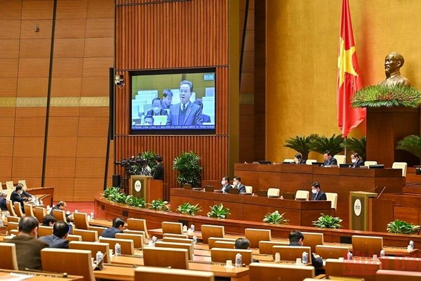 Các đại biểu Quốc hội tham dự phiên thảo luận tại điểm cầu hội trường Diên Hồng ngày 10/1. (Ảnh: LINH KHOA)