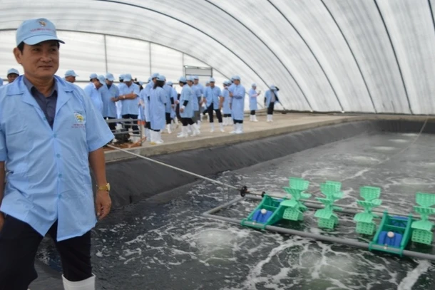 Lãnh đạo huyện Hòa Bình (Bạc Liêu) kiểm tra các cơ sở nuôi tôm công nghiệp tại vùng ven biển.