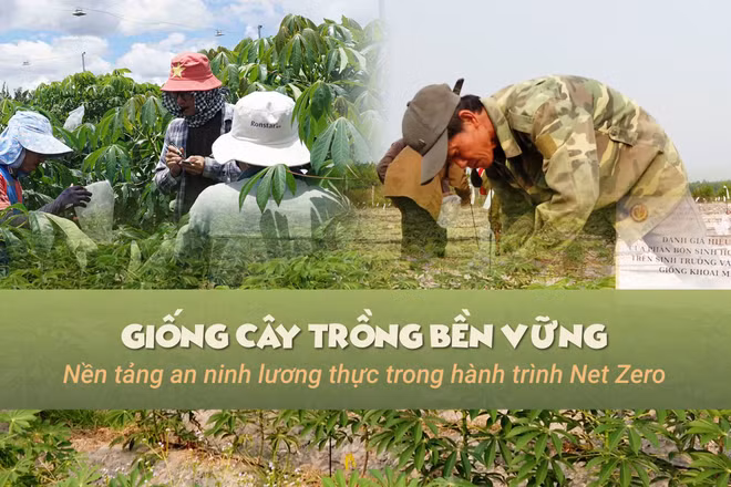Giống cây trồng bền vững – Nền tảng an ninh lương thực trong hành trình Net Zero