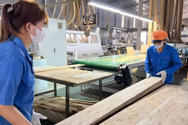 Hoạt động sản xuất tại nhà máy của Công ty Trách nhiệm hữu hạn Lechenwood Việt Nam. (Ảnh: TUẤN SƠN)