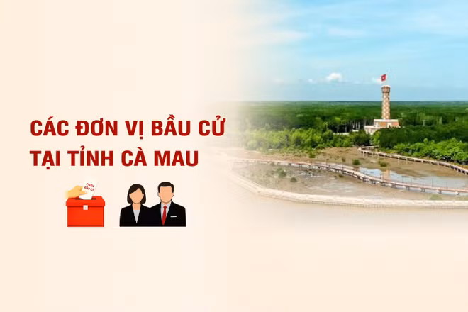 [Infographic] Các đơn vị bầu cử đại biểu Quốc hội tại tỉnh Cà Mau
