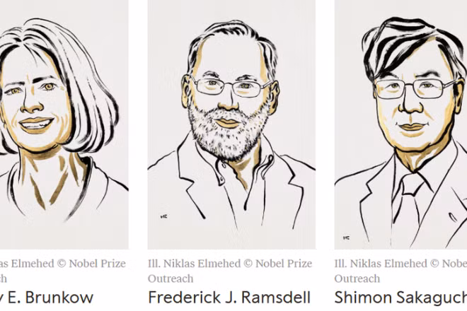 Chân dung 3 nhà khoa học là chủ nhân của Giải Nobel Y sinh 2025. (Ảnh: Nobelprize.org)