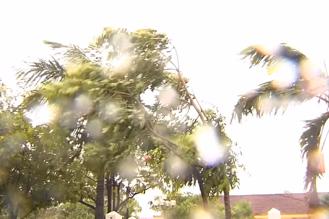 [Video] Bão năm 2026 có thể ít hơn, nhưng khó dự báo