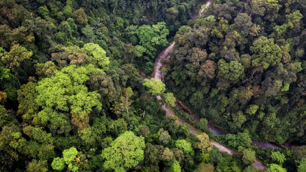 Bài 5: Thay đổi tư duy phát triển rừng