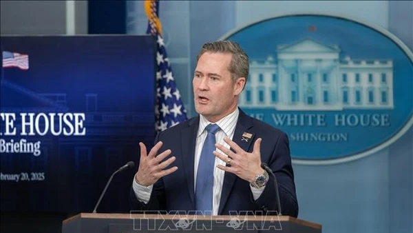 Ông Mike Waltz. (Ảnh tư liệu: THX/TTXVN)
