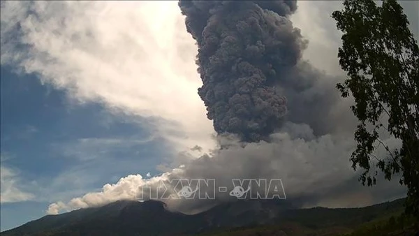 Núi lửa Lewotobi Laki-laki ở tỉnh Đông Nusa Tenggara, Indonesia phun trào. (Ảnh tư liệu: THX/TTXVN)