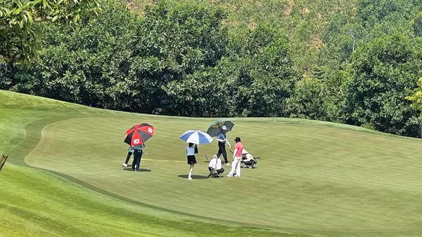 Đường bóng và thương trường