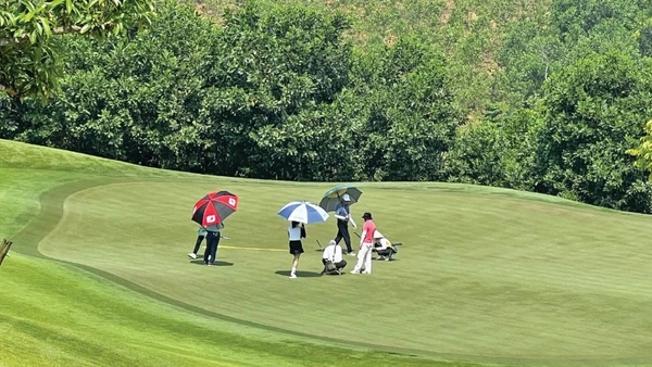 Đường bóng và thương trường