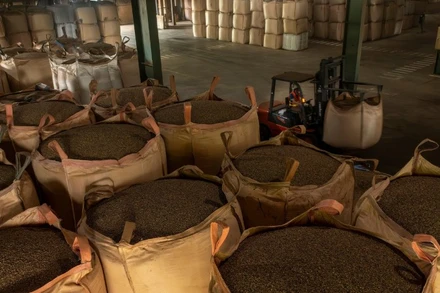 Cà-phê Việt Nam còn nhiều cơ hội xuất khẩu sang thị trường Thái Lan. 