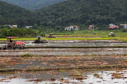 Triển khai cơ giới hóa trên đồng ruộng của các thành viên Hợp tác xã Dịch vụ nông nghiệp và Kinh doanh tổng hợp Nam Sơn (xã Trung Giã, thành phố Hà Nội). Ảnh: Hà Anh