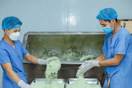 Quy trình sản xuất ống hút ECOS từ bột rau củ. 