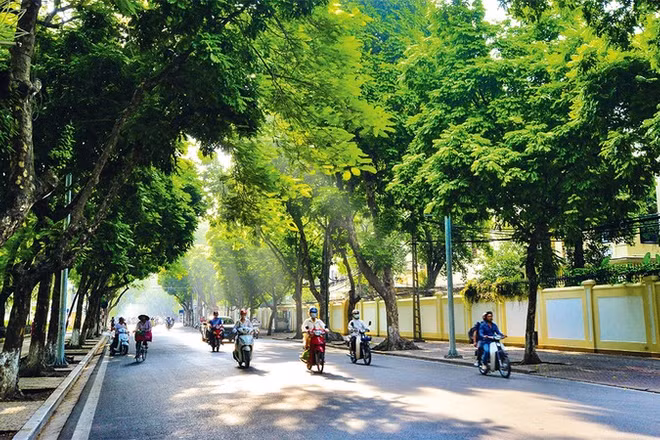 (Ảnh minh họa: TUỆ NGHI)