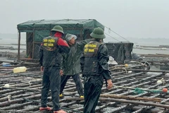 Các đơn vị Bộ đội biên phòng Quảng Ninh kêu gọi, vận động, hỗ trợ nhân dân về nơi trú tránh và thực hiện các biện pháp phòng chống, ứng phó bão số 3.