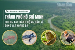 Thành phố Hồ Chí Minh chung tay hành động bảo vệ động vật hoang dã