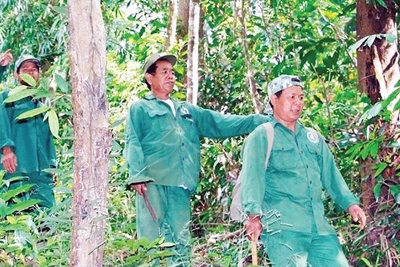 Các thành viên trong tổ cộng đồng nhận khoán bảo vệ rừng quốc gia Bù Gia Mập tuần tra bảo vệ rừng.