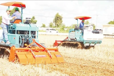 Cơ giới hóa trong khâu làm đất và xử lý rơm rạ sau thu hoạch, hạn chế đốt đồng khói bay gây ô nhiễm.