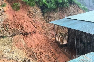 Các xã miền núi của thành phố Đà Nẵng tổ chức di dời hơn 90 hộ dân khỏi nguy cơ sạt lở đe dọa.