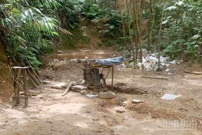 Khu vực khai thác vàng trái phép ở xã Thạnh Bình.