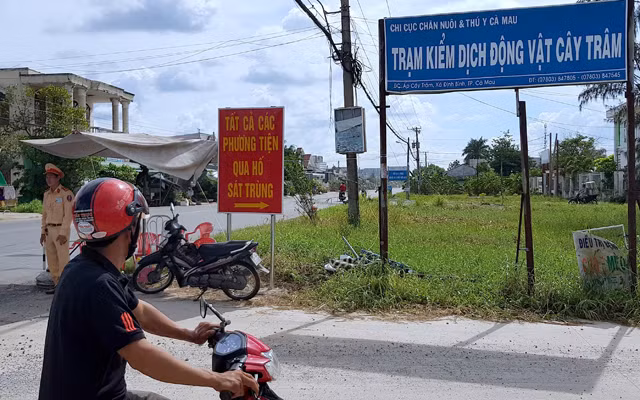 Các địa phương nỗ lực phòng, chống dịch tả lợn châu Phi ảnh 2 Các địa phương nỗ lực phòng, chống dịch tả lợn châu Phi ảnh 2