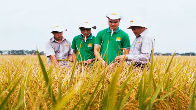 Kinh tế chia sẻ nhìn từ nông dân @ ảnh 1