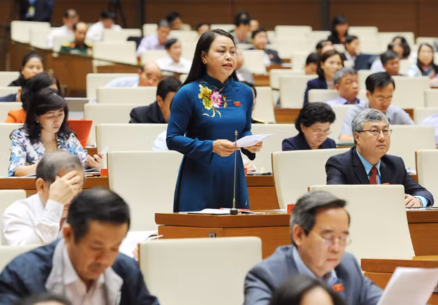 Đề nghị Chính phủ xem xét lại quy định về lương hưu cho nữ giới từ năm 2018 ảnh 2