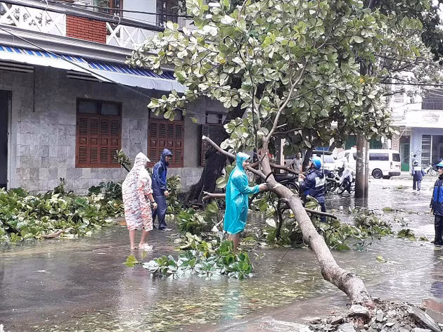 Cập nhật: Bão số 12 càn quét các tỉnh Nam Trung Bộ ảnh 6 Cập nhật: Bão số 12 càn quét các tỉnh Nam Trung Bộ ảnh 6