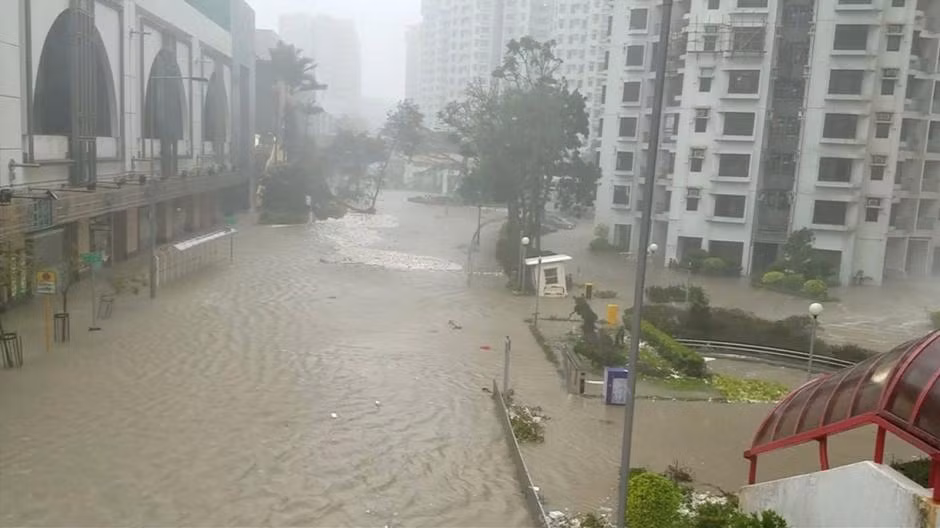 Phía sau hành trình của siêu bão Mangkhut ảnh 4
