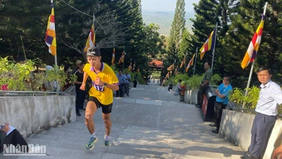 Vận động viên tham dự giải.