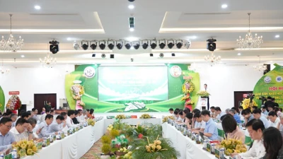Quang cảnh hội thảo.