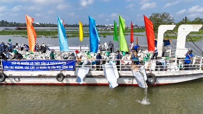 Ngành chức năng thả cá ra môi trường tự nhiên