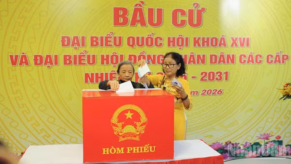 Cử tri phường Hải Châu bỏ phiếu bầu cử.