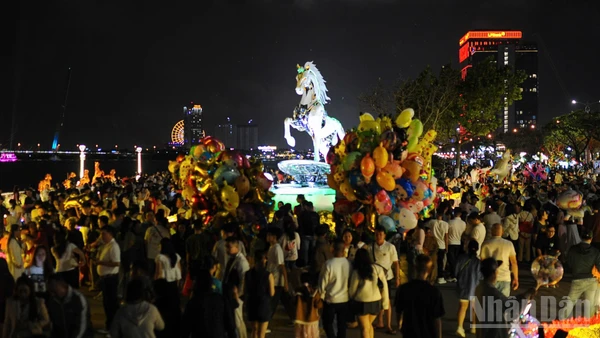 Đường hoa Bạch Đằng thành phố Đà Nẵng đêm 16/2 (29 Tết).