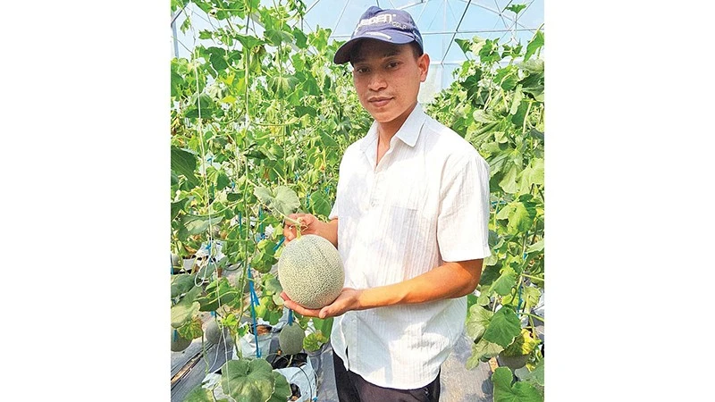 An Giang rộn ràng mùa thu hoạch thủy sản và nông sản cao cấp dịp cuối năm