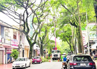 Công nhân Công ty cổ phần Đô thị và Môi trường Đắk Lắk tổ chức cắt tỉa tán cây xanh trên đường Lý Thường Kiệt, thành phố Buôn Ma Thuột bảo đảm an toàn trong mùa mưa năm 2025.