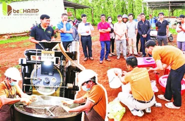Hợp tác xã Bechamp Đắk Nông tổ chức tập huấn cho các thành viên về quy trình chế tạo, sử dụng các loại phân, thuốc hữu cơ trong sản xuất cà-phê hữu cơ...