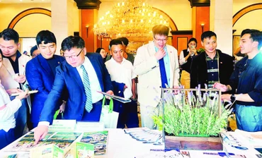 Đối tác Hàn Quốc tìm hiểu về du lịch Đà Lạt-Lâm Đồng.